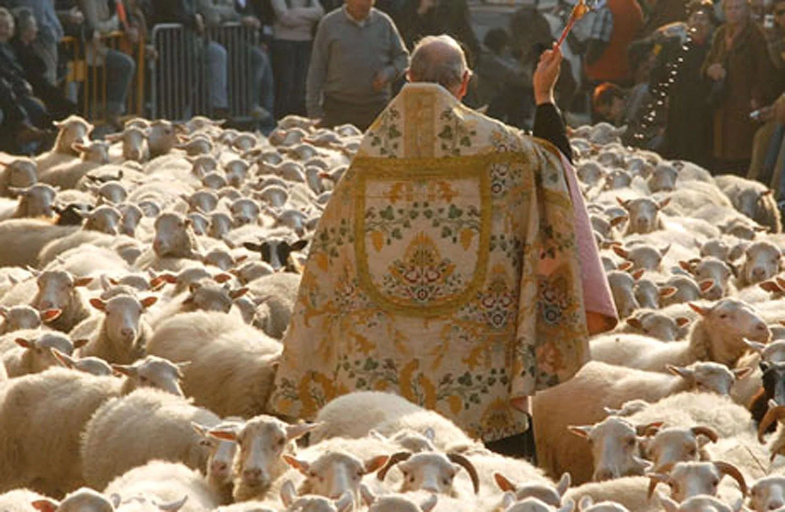 Inter vestibulum et altare: enero 2012