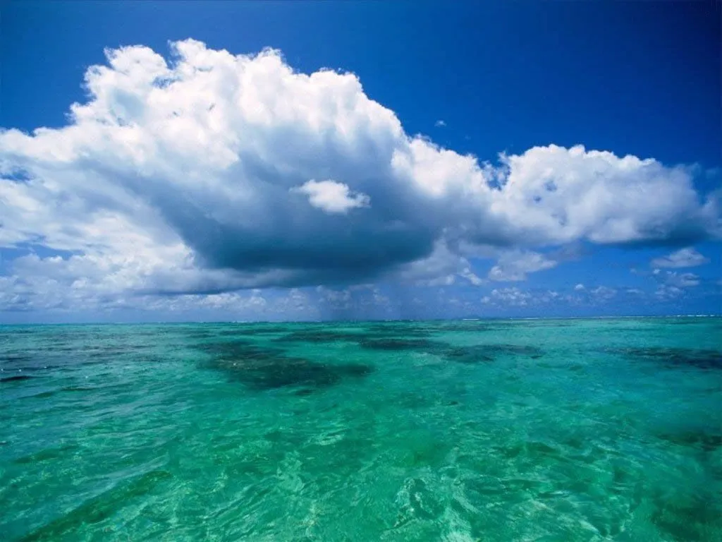 internacional el video es una mezcla de imagenes del oceano con una ... internacional el video es una mezcla de imagenes del oceano con una ...