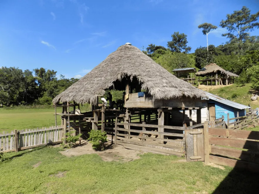 Nuevas intervenciones de vivienda y arquitectura desde la cosmovisión de los Embera Katío-Colombia Nuevas intervenciones de vivienda y arquitectura desde la cosmovisión de los Embera Katío-Colombia