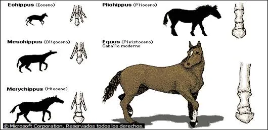 Intibuca, apuntes de nuestra prehistoria - Monografias.com