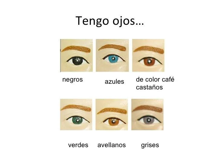 introduction-to-vocab- ...