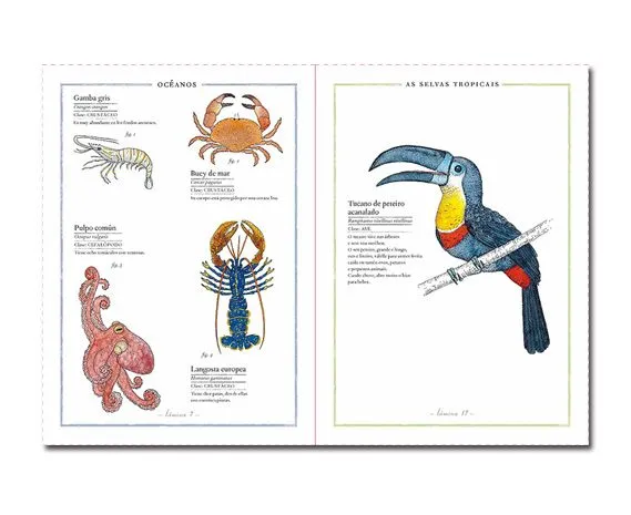 Inventario de animales | Biblioabrazo