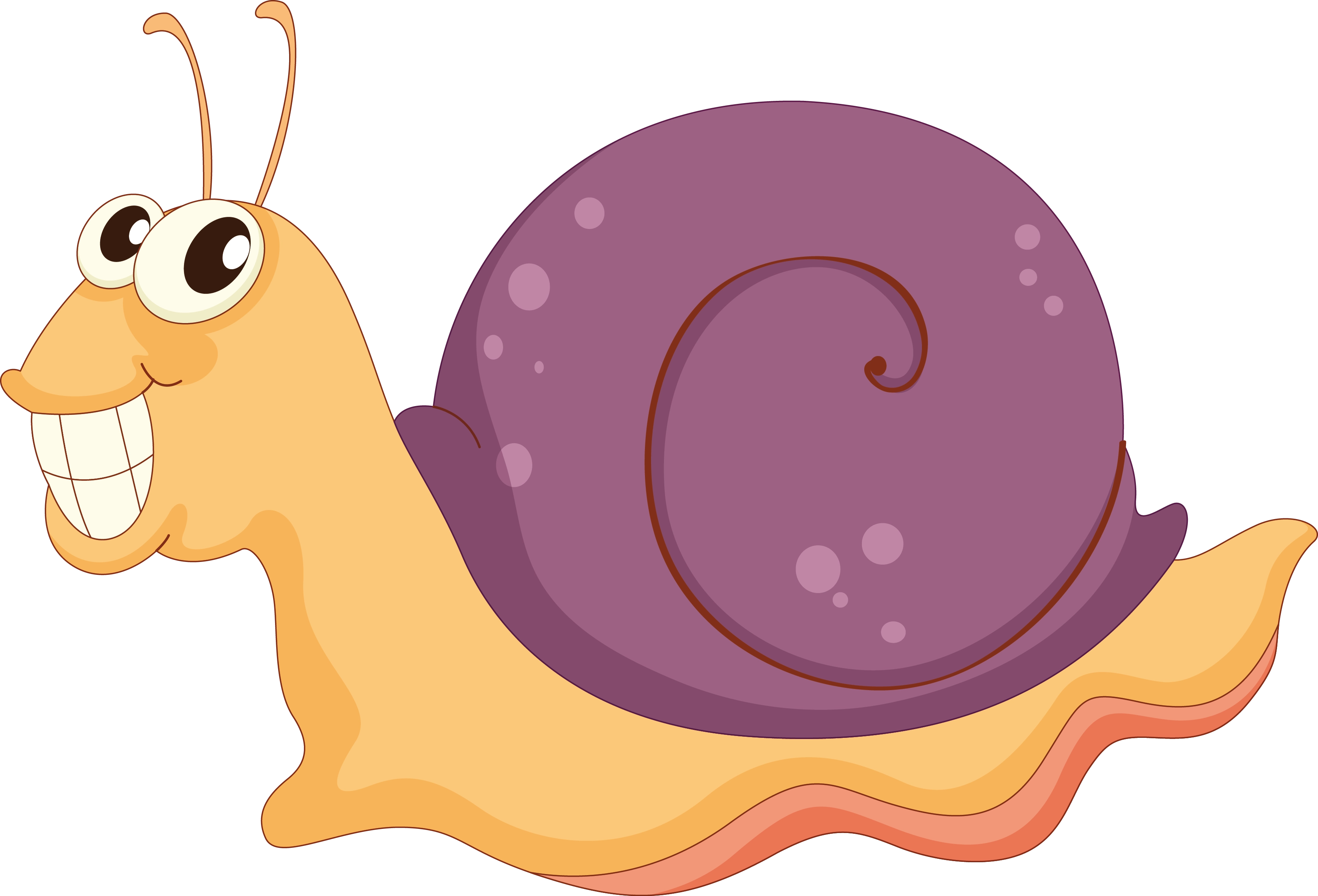Invertebrados】 ➡️Animales sin columna vertebral | Educapeques