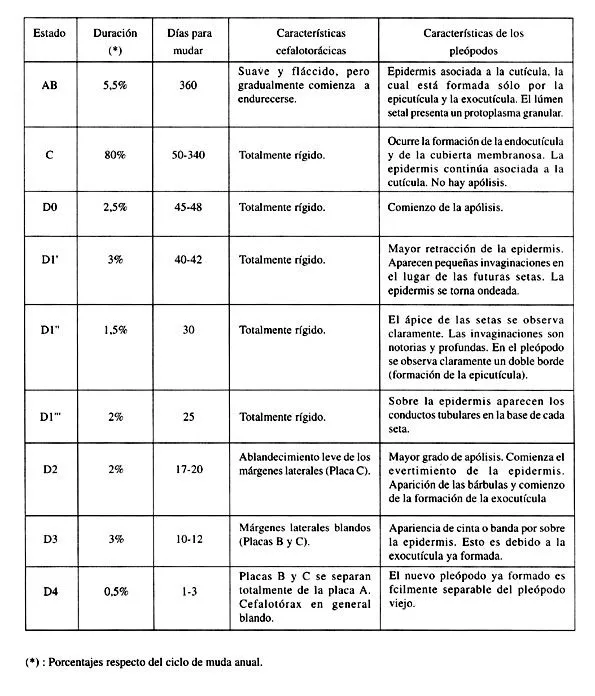 Investigaciones marinas - Determinación de los estados del ciclo ...