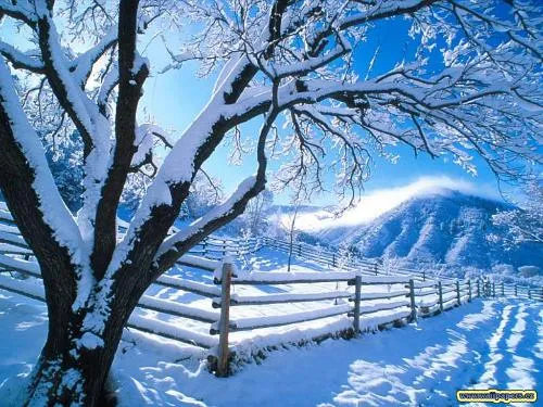 Invierno gif animados - Imagui