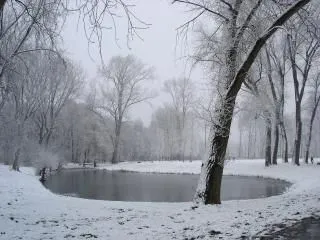 Invierno lago, la nieve | Descargar Fotos gratis Invierno lago, la nieve | Descargar Fotos gratis