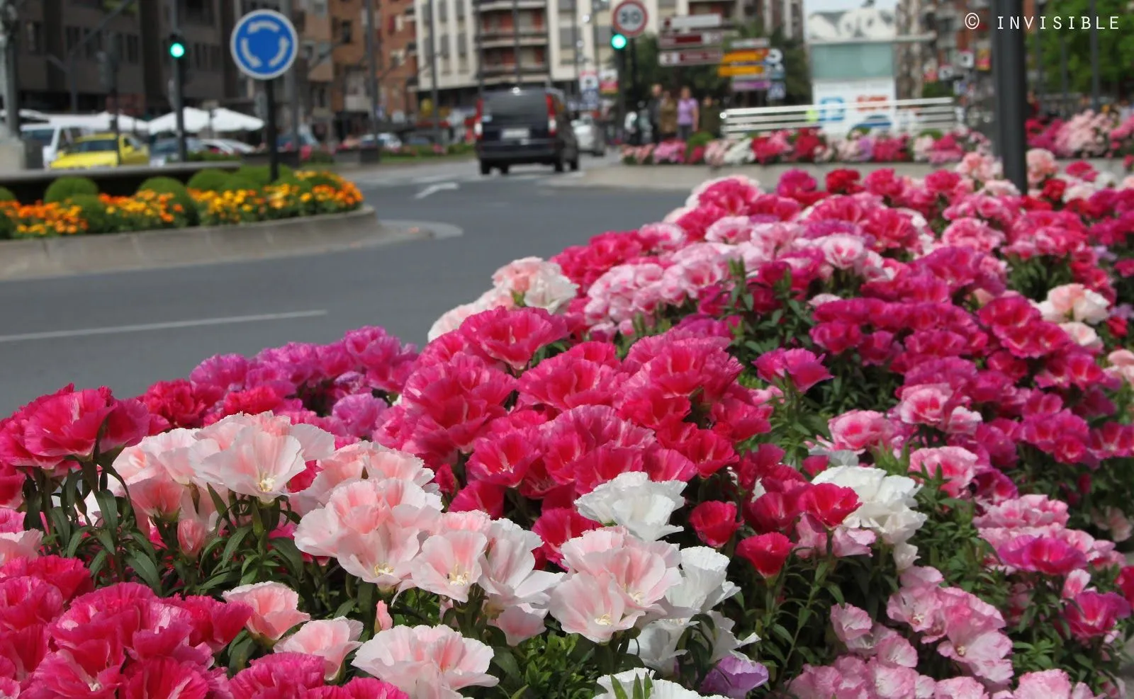 Invisible SLG Photos: Flores primaverales de la Gran Vía Invisible SLG Photos: Flores primaverales de la Gran Vía