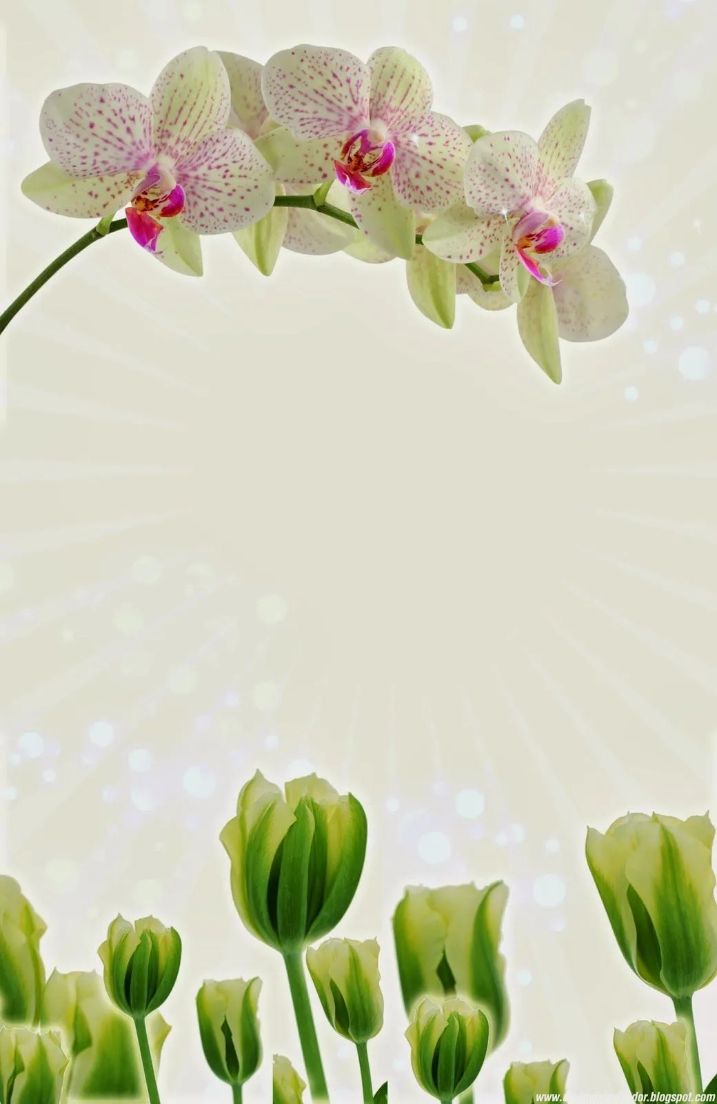 Invitación de Boda y 15 Años Gratis Orquídeas y Tulipanes ... Invitación de Boda y 15 Años Gratis Orquídeas y Tulipanes ...