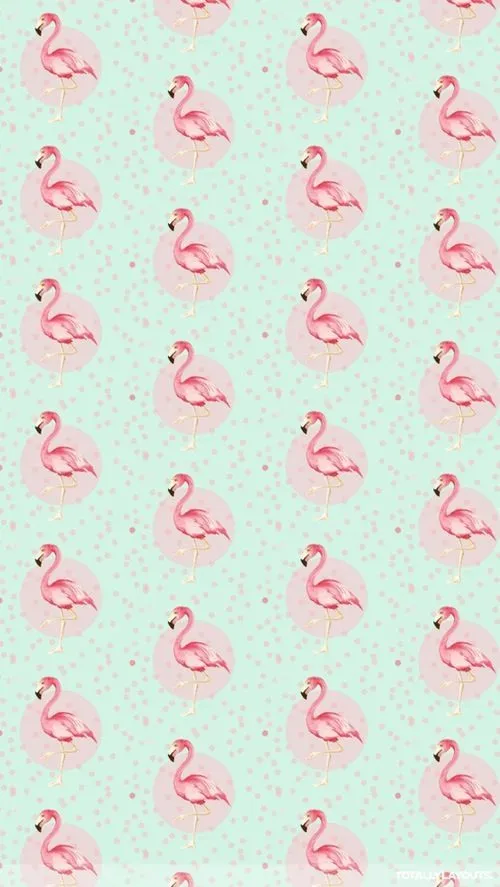 Flamingo iPhone Wallpaper | Phone Wallpapers | Pinterest