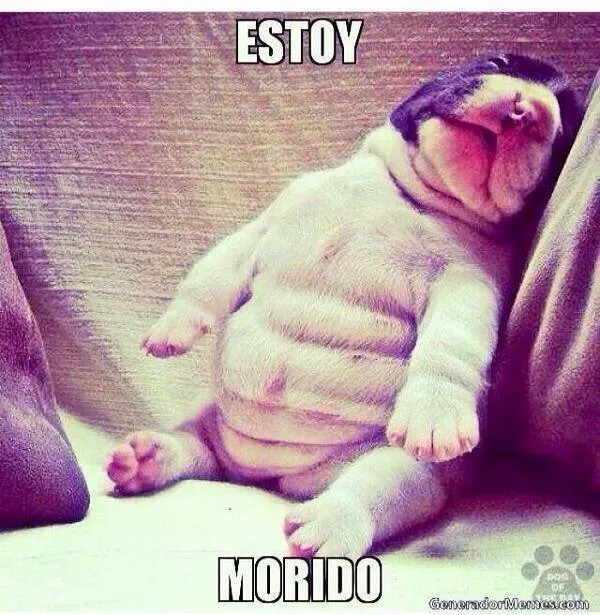 Irán on Twitter: "Estoy morido!!! http://t.co/CYlfNHwsVn" Irán on Twitter: "Estoy morido!!! http://t.co/CYlfNHwsVn"
