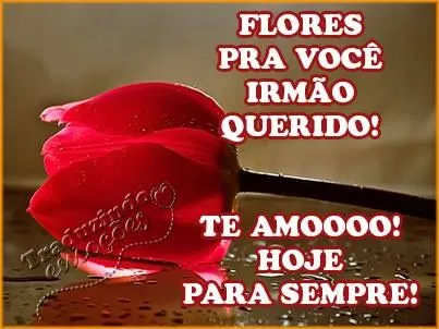 Frases de aniversario para irmã distante - Imagui Frases de aniversario para irmã distante - Imagui