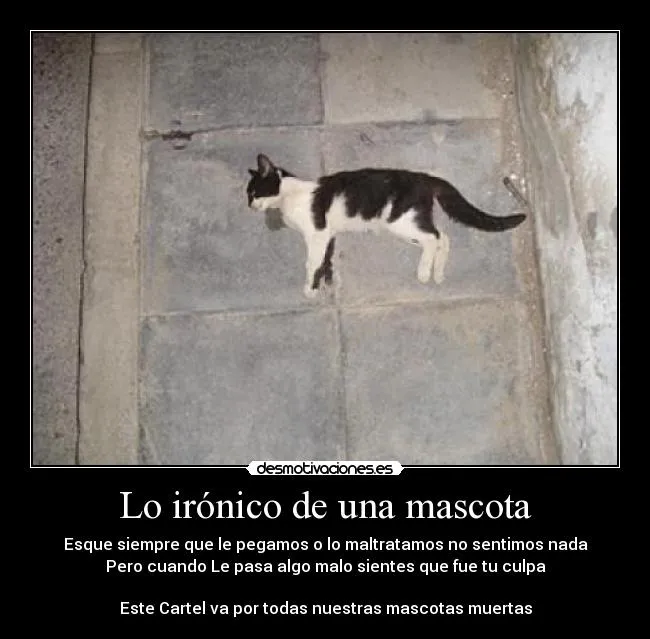 Lo irónico de una mascota | Desmotivaciones
