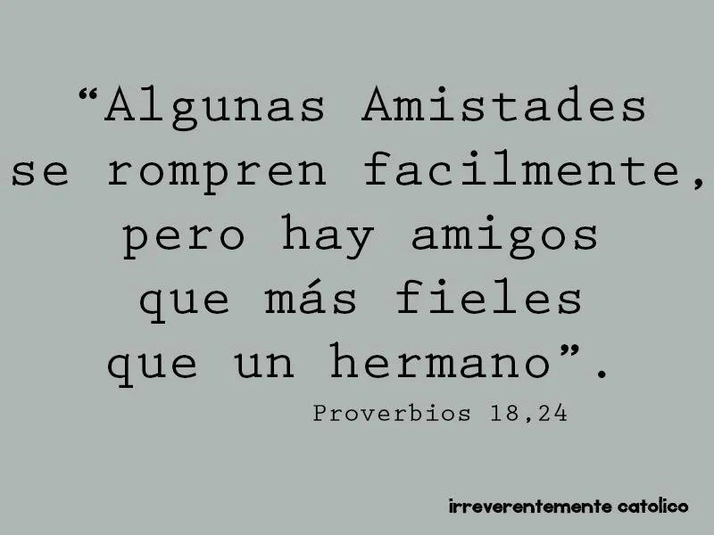 IRREVERENTEMENTE CATOLICO: LA AMISTAD