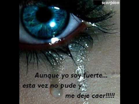 Isla Tortuga • Ver Tema - El silencio