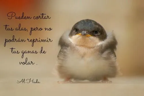 Islam; Frases; Dichos; Pájaros; Alas; Fuerza | espanol | Pinterest ... Islam; Frases; Dichos; Pájaros; Alas; Fuerza | espanol | Pinterest ...