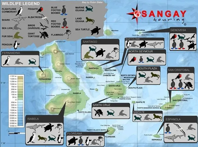 Islas Galápagos: mapa con la fauna de las islas Islas Galápagos: mapa con la fauna de las islas