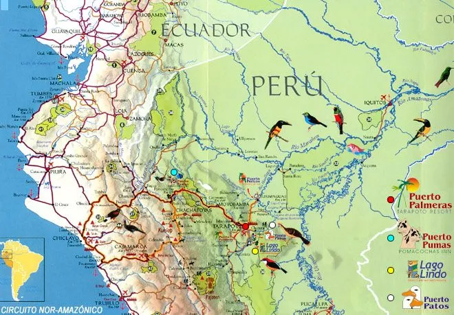 Italiano construye un castillo en la selva de Peru. - Taringa!