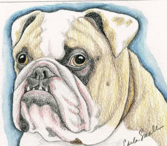 Items similar to Bulldog Inglés bronceado perro Arte Original ...