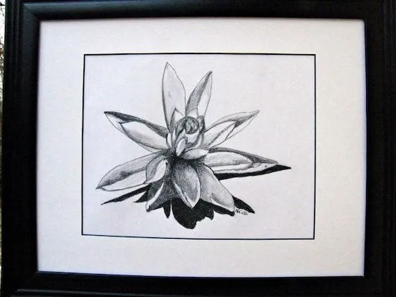 Items similar to Flor de loto lápiz dibujo Original Art - OOAK ... Items similar to Flor de loto lápiz dibujo Original Art - OOAK ...