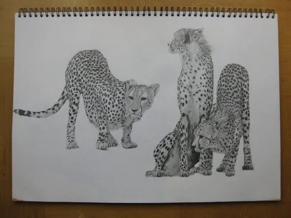 Items similar to Original lápiz de dibujo de guepardos. on Etsy Items similar to Original lápiz de dibujo de guepardos. on Etsy
