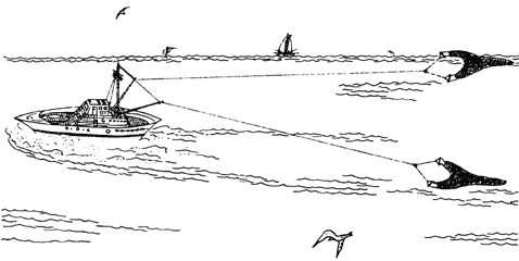 IV. LAS ARTES Y LOSMÉTODOS DE PESCA