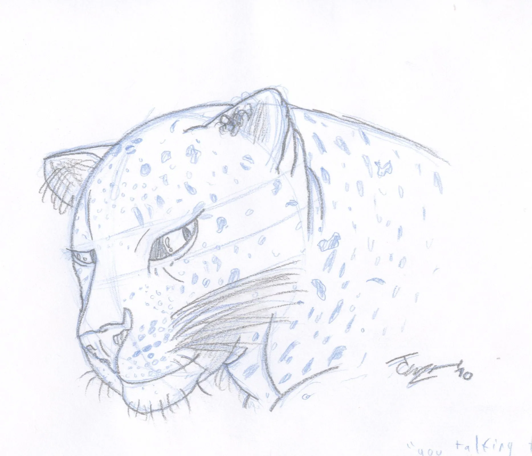 Jaguar | Jectoons