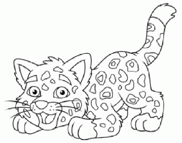 Bebé jaguar de go diego go para colorear - Imagui Bebé jaguar de go diego go para colorear - Imagui