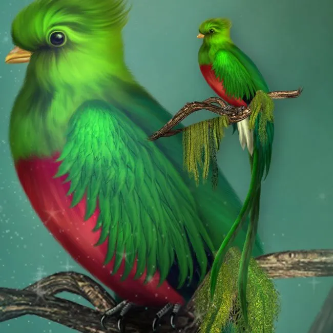 Jaguarwomans Quetzal Bird : Jaguarwoman, Rare & Powerful Design ... Jaguarwomans Quetzal Bird : Jaguarwoman, Rare & Powerful Design ...