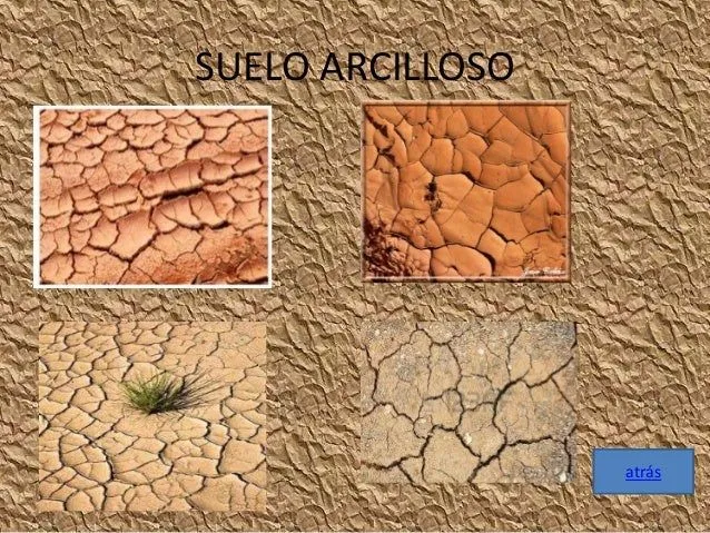 janela-mosquera-salvatierra-f- ...