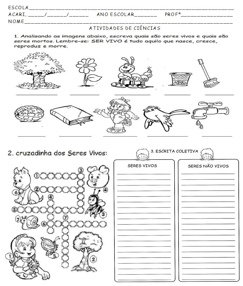 JANETE CLÉIA: Ciência: seres vivos e não vivos