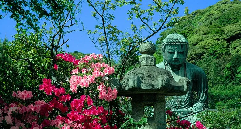 Japão -