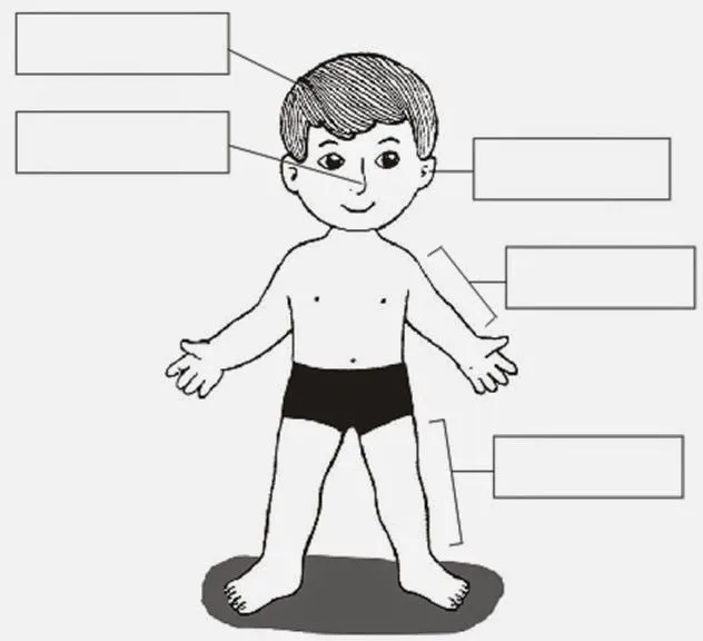 Jardin Escolar: El cuerpo humano - Dibujos para colorear Jardin Escolar: El cuerpo humano - Dibujos para colorear