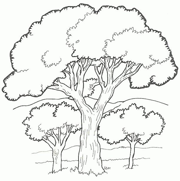 Jardin Escolar: Paisajes - Dibujos para colorear