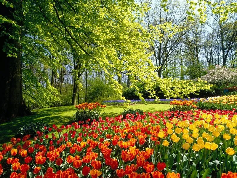 Los jardines mas hermosos del mundo