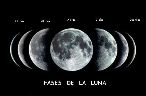 Al Jardín de la república...: Significado e importancia de las ... Al Jardín de la república...: Significado e importancia de las ...