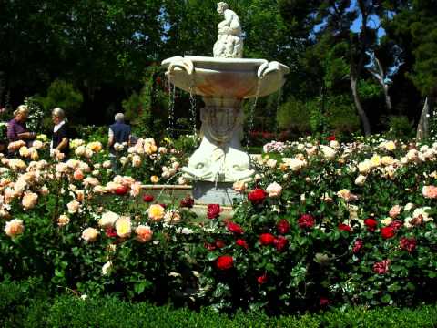 Jardín del Retiro Madrid. Rosaleda. HD-3D. Arte y Jardinería ... Jardín del Retiro Madrid. Rosaleda. HD-3D. Arte y Jardinería ...