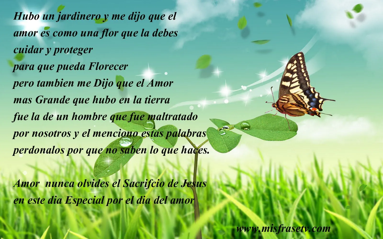Hubo un Jardinero y me dijo que el Amor es como una Flor - Frases ... Hubo un Jardinero y me dijo que el Amor es como una Flor - Frases ...