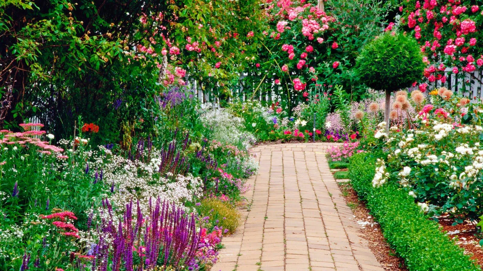 Jardines y flores (5 fotos para compartir en Facebook) Jardines y flores (5 fotos para compartir en Facebook)