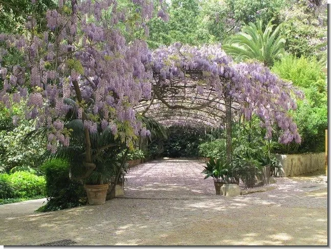 Jardines HD - Imagui