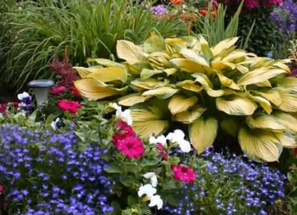 jardines hermosos (3) | Cuidar de tus plantas es facilisimo.