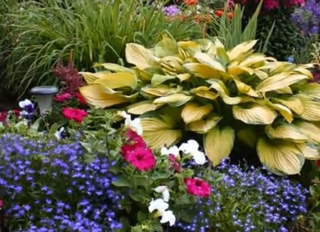 jardines hermosos (3) | Cuidar de tus plantas es facilisimo. jardines hermosos (3) | Cuidar de tus plantas es facilisimo.