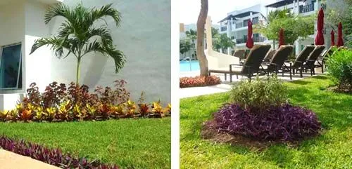 Los jardines en The Fives se llenan de color | The Fives, TM Grupo ... Los jardines en The Fives se llenan de color | The Fives, TM Grupo ...