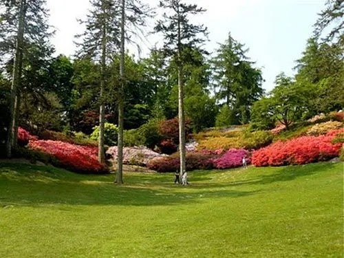 La belleza del Jardín Savill La belleza del Jardín Savill