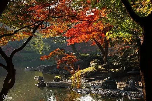 jardinitis: Los colores del otoño en Japón jardinitis: Los colores del otoño en Japón