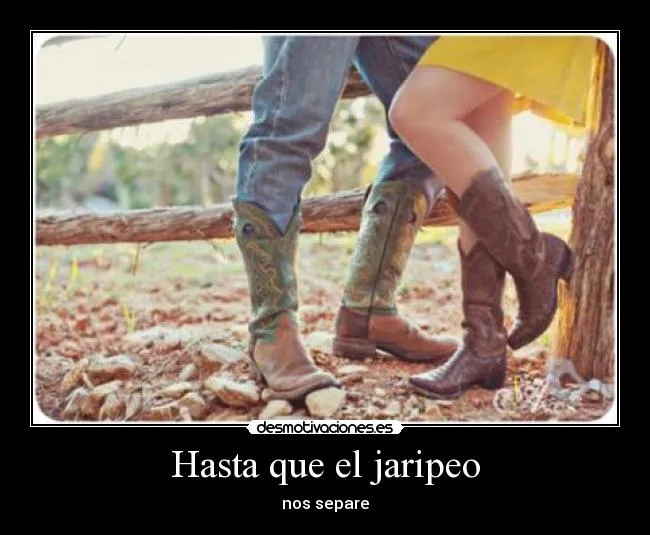 Hasta que el jaripeo | Desmotivaciones