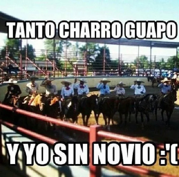 el los jaripeos | ✯ᘻi ᘻεxicö✯ | Pinterest