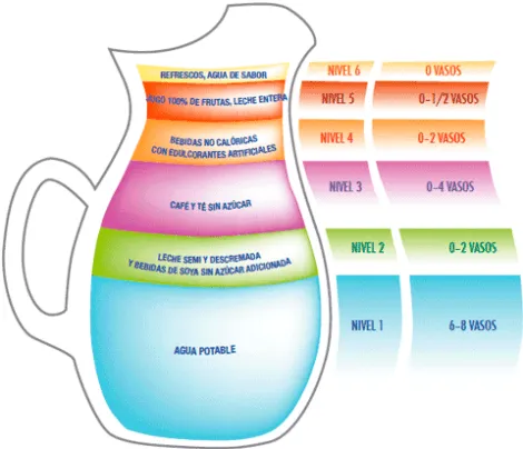 la jarra del buen beber | alimentacion y ejercicio