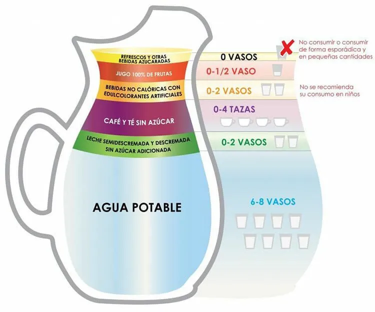 Jarra del Buen Beber ® | Consumo de Bebidas para una Vida Saludable