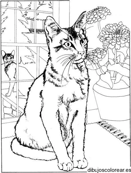 Dibujo de un gato y un jarrón | Dibujos para Colorear Dibujo de un gato y un jarrón | Dibujos para Colorear