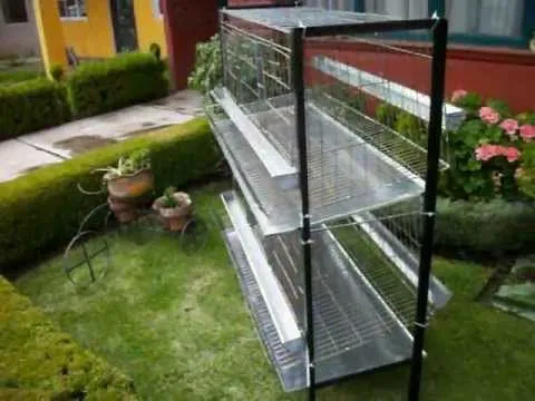 Jaula Modulo Doble para Gallina de Postura - PROJAULA - YouTube Jaula Modulo Doble para Gallina de Postura - PROJAULA - YouTube